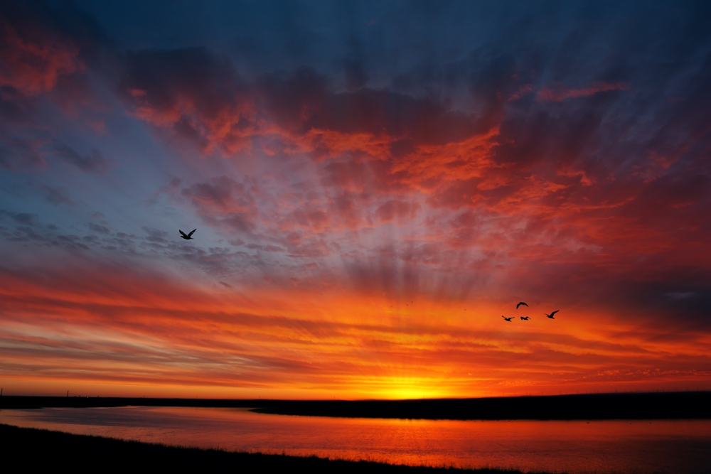 "Un atardecer mas" de Robinson Palleres