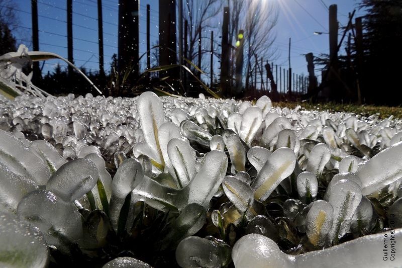 "Esculturas de invierno" de Guillermo Daniel Pasquale