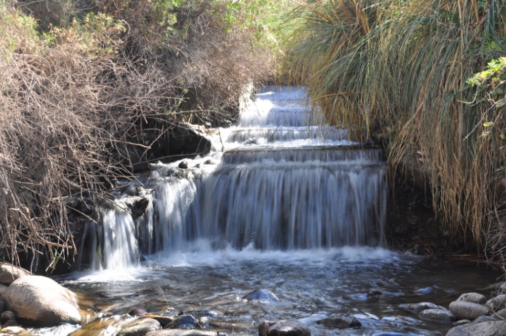 "arroyos y cascadas" de Jose Alberto Vicente