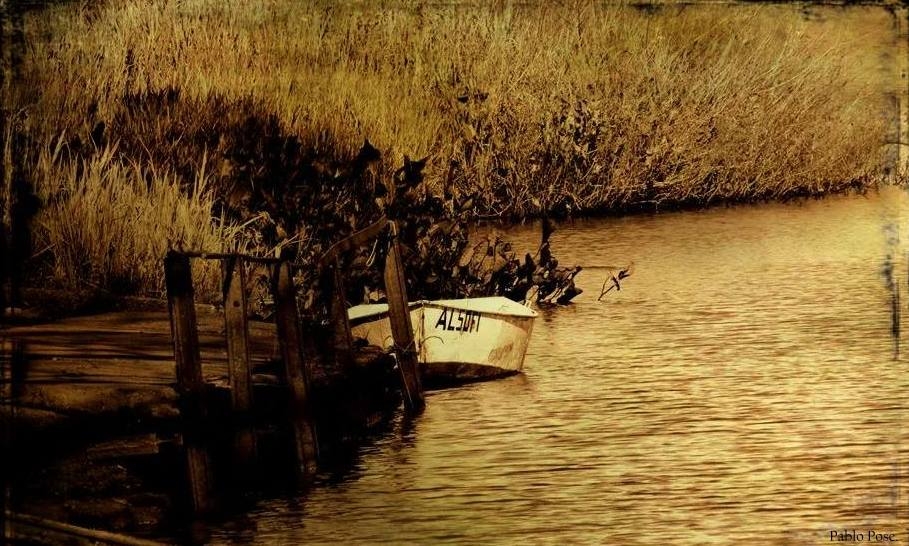 "Junto a la orilla..." de Pablo Pose