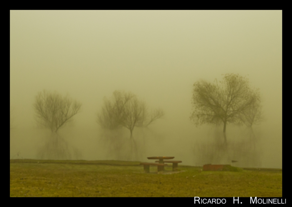 "Niebla amanecida III" de Ricardo H. Molinelli