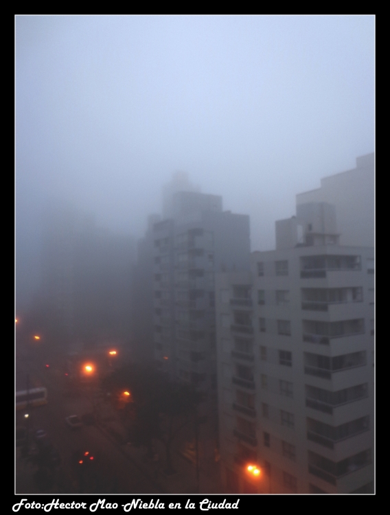 "Niebla en la Ciudad" de Hector Mao