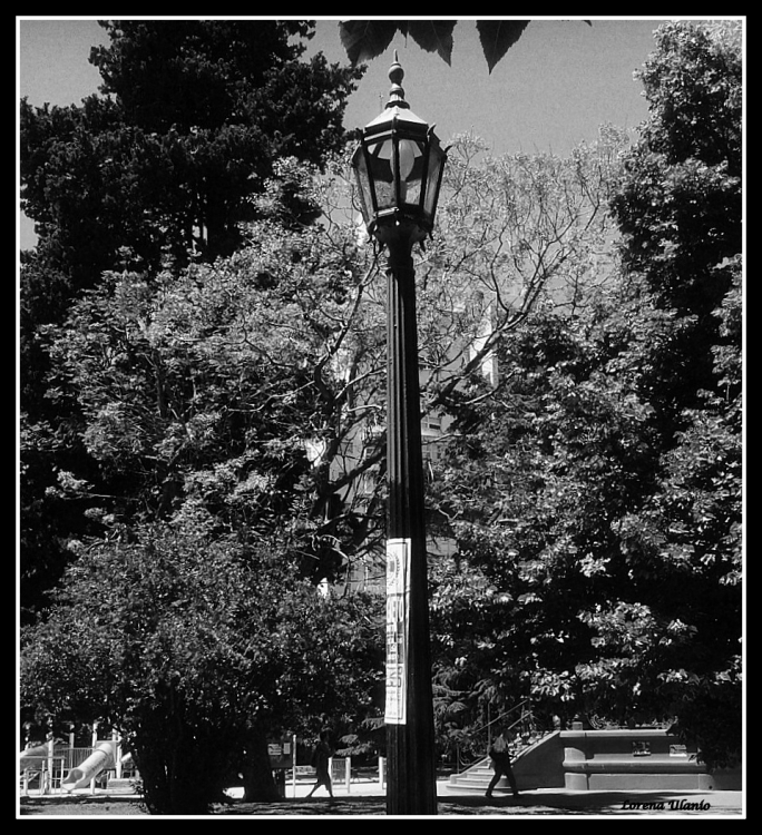 "La Farola" de Lorena Ulanio