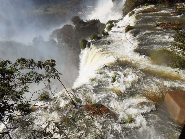 "Cataratas del Iguaz" de Ana Maria Real