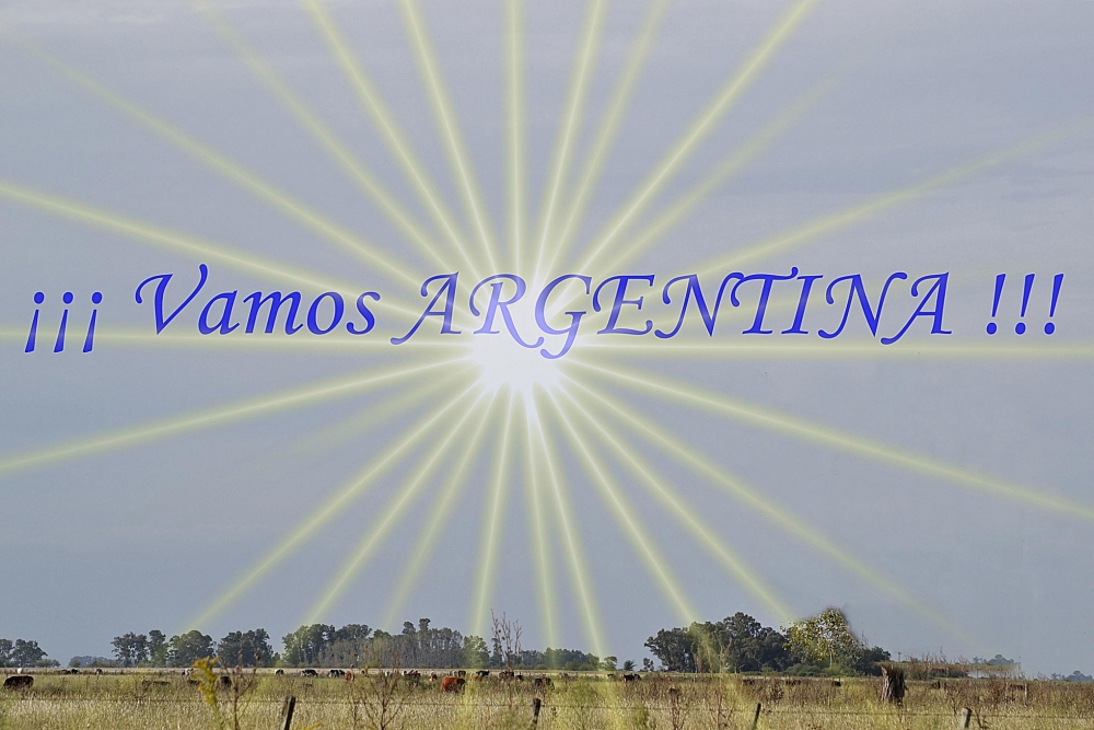 "VAMOS ARGENTINA!!!!!!!" de Silvana Garat