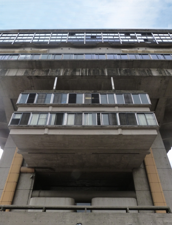 "Biblioteca NacIonal" de Leonardo Donnet