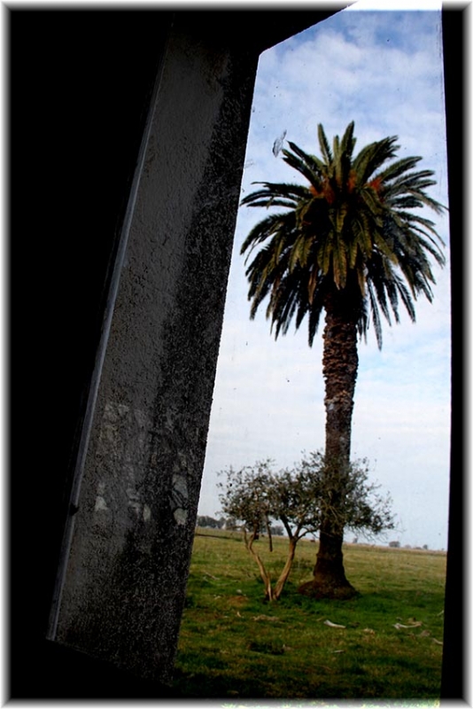 "a travs de la ventana I" de Vernica Dana