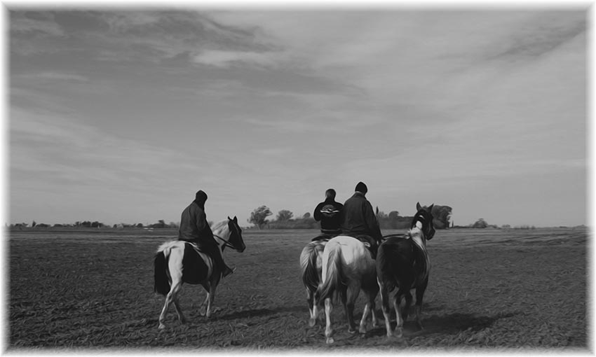 "cruzando campo" de Vernica Dana