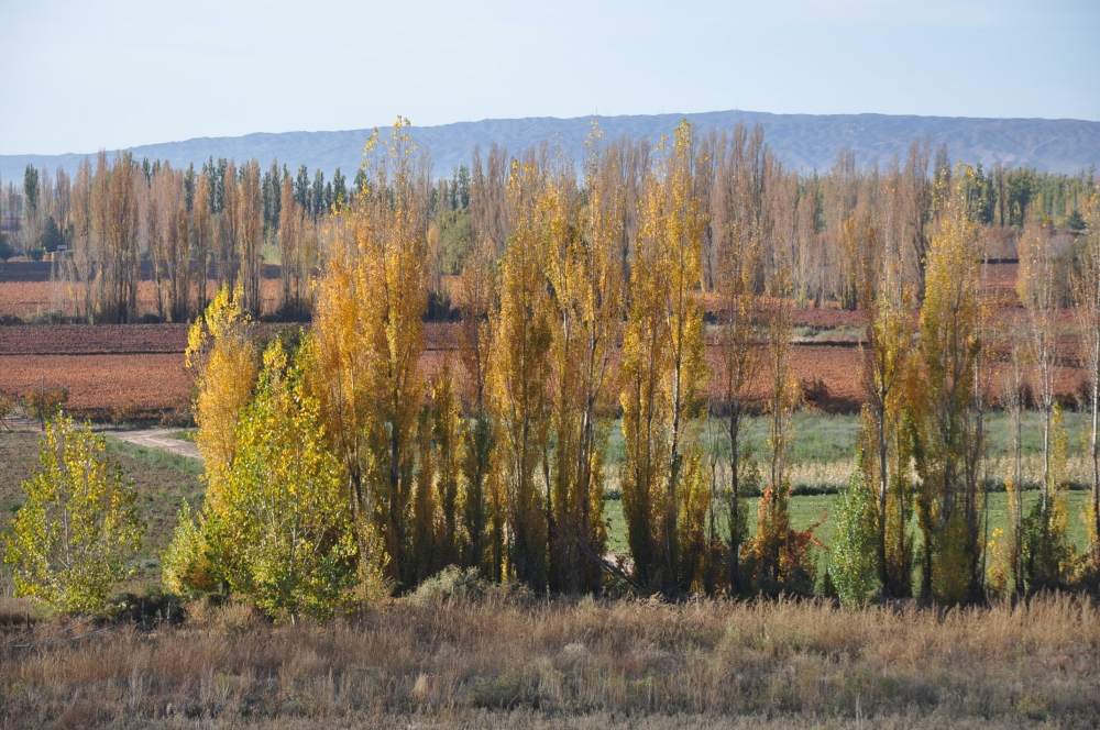 "valle de Uspallata" de Jose Alberto Vicente