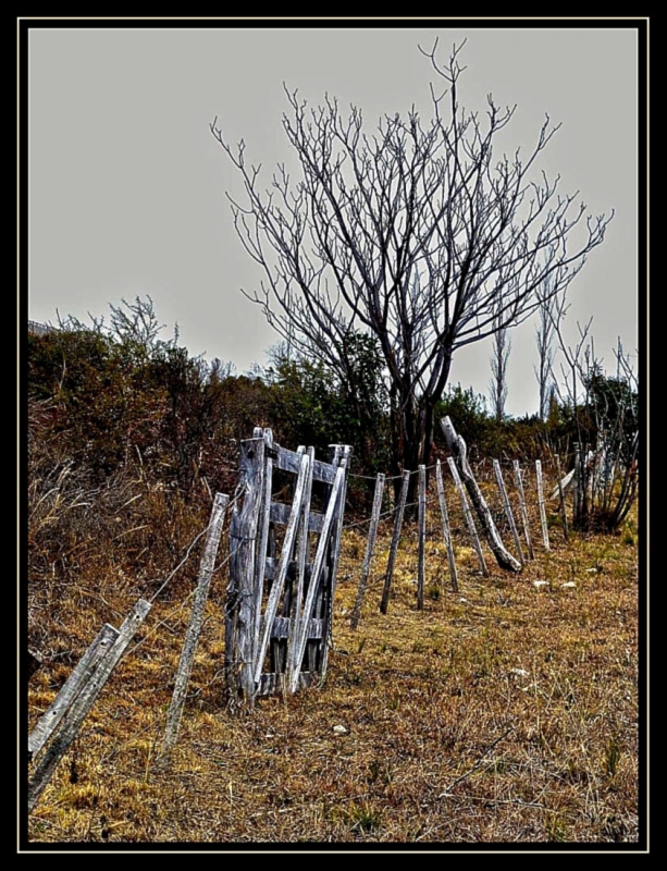 "La tranquera" de Arturo H. Pea