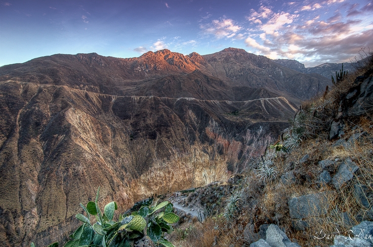 "Rincones del Per #322 Can del Colca" de David Roldn