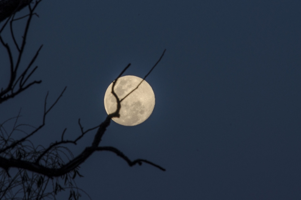 "La luna del 9 de agosto" de Monica Rollan