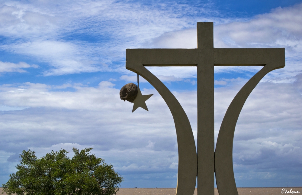 "Viviendo en una estrella" de Eduardo Valsangiacomo