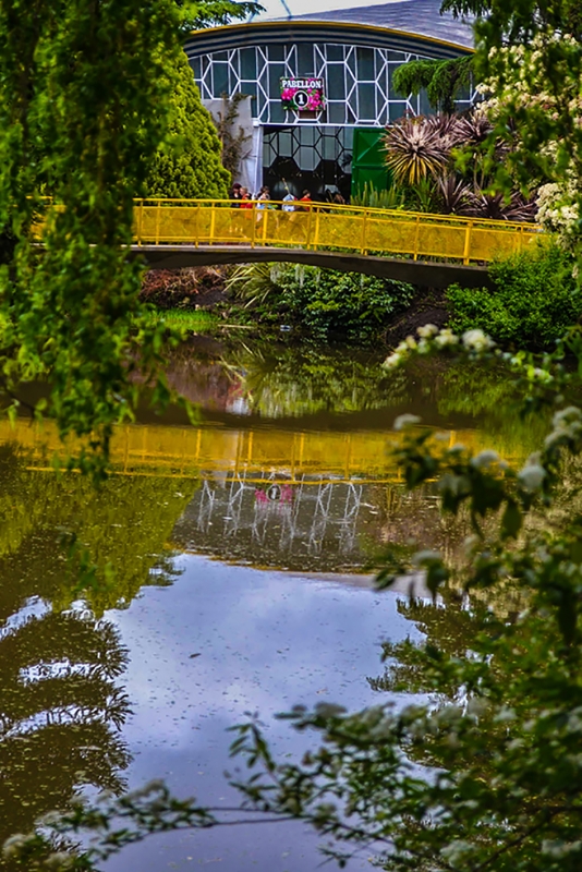 "El Puente" de Eduardo Jorge Pompei