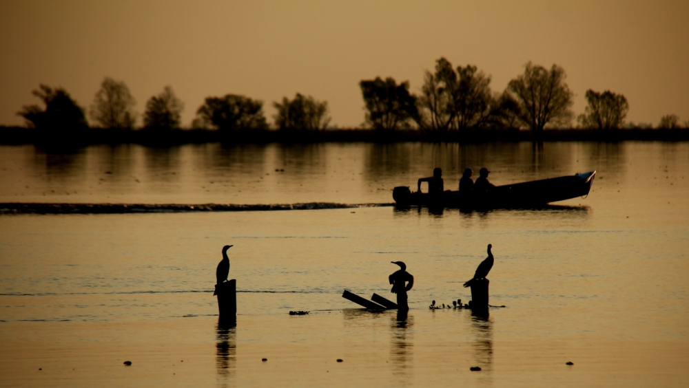 "Seis pescadores" de Mariano Olivero