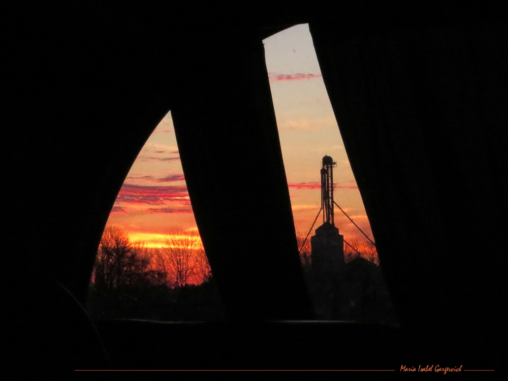 "Desde la ventana" de Mara Isabel Gargevcich