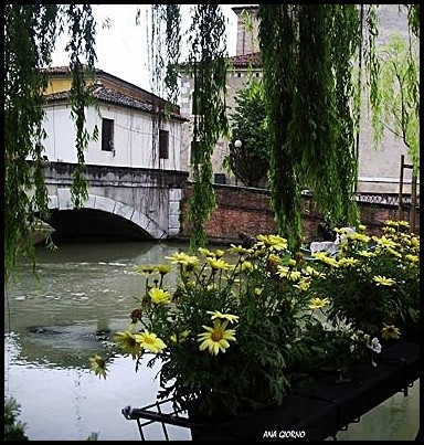 "El puente" de Ana Giorno