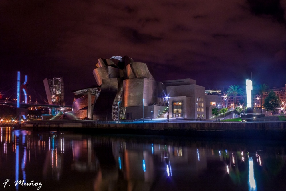 "Noche en el Museo Guggenheim" de Fernando Muoz