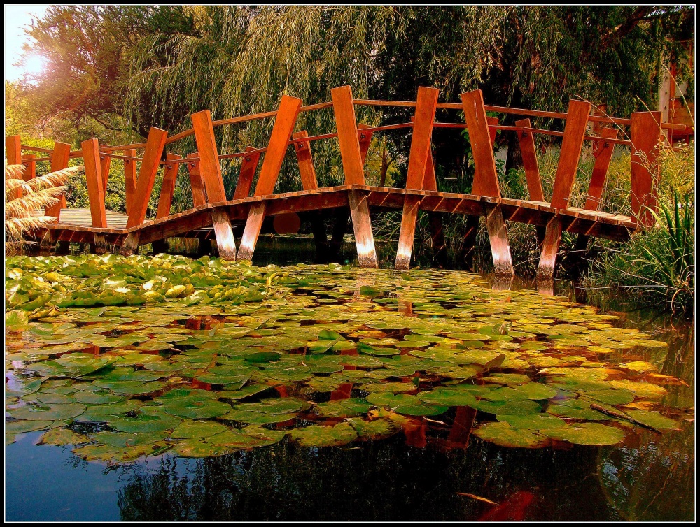 "Un lugar para meditar." de Enrique A. Porcel de Peralta