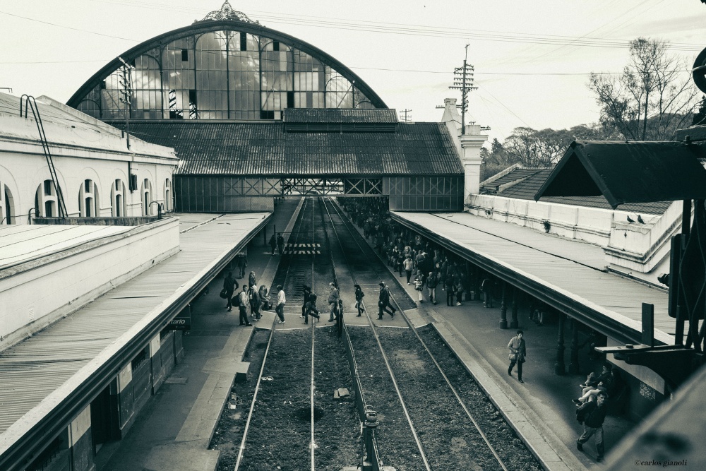 "Estacin La Plata." de Carlos Gianoli