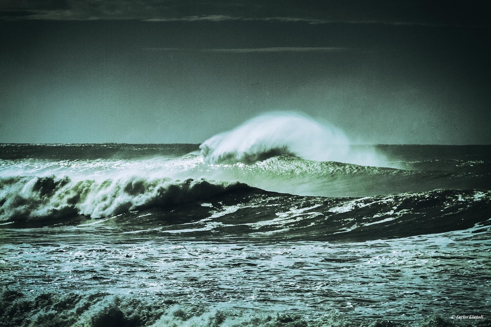 "El mar" de Carlos Gianoli