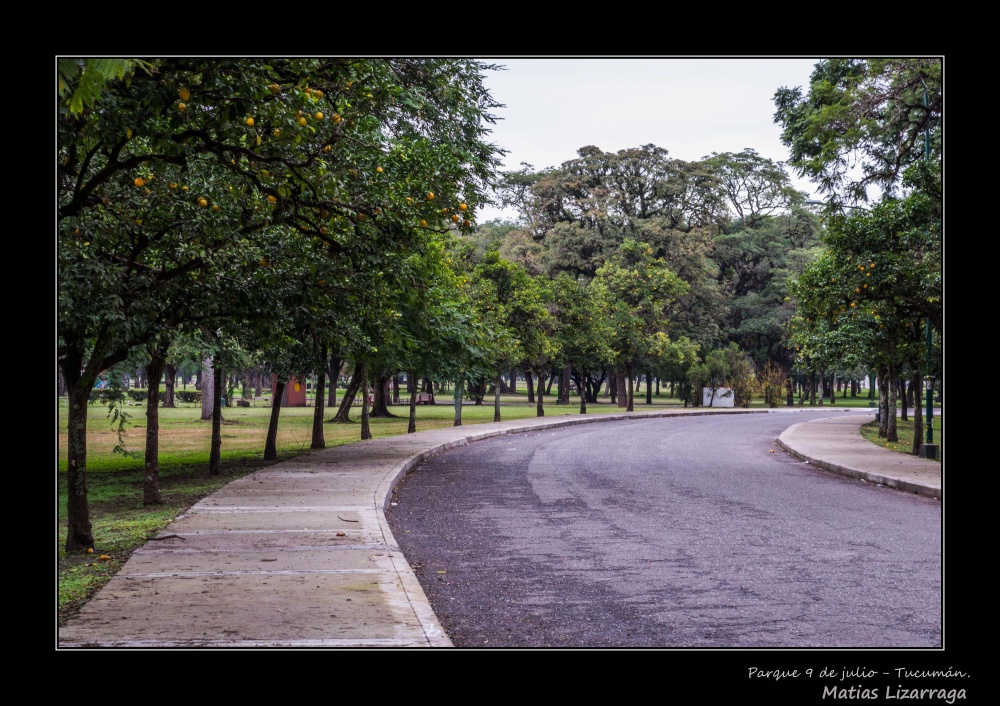 "Parque 9 de Julio" de Matias Lizarraga