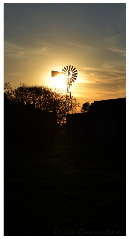 "Atardecer campestre" de Daira Clementino