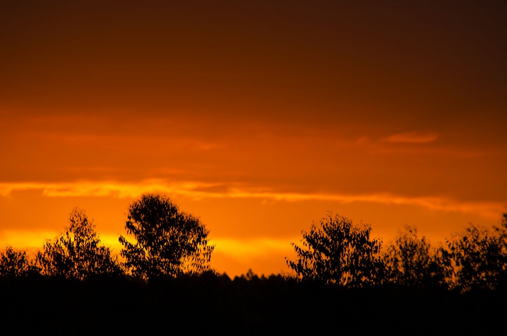 "Atardecer rojizo en la Ruta 14" de Monica Rollan