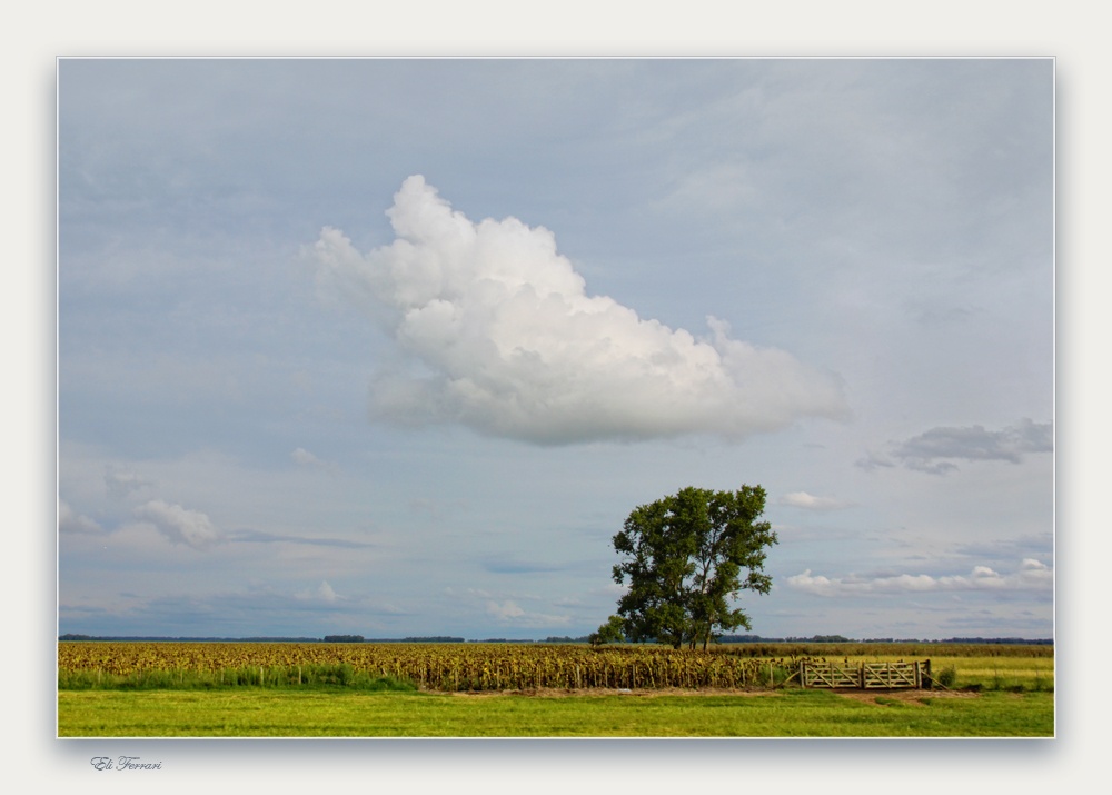 "Campestre" de Eli - Elisabet Ferrari