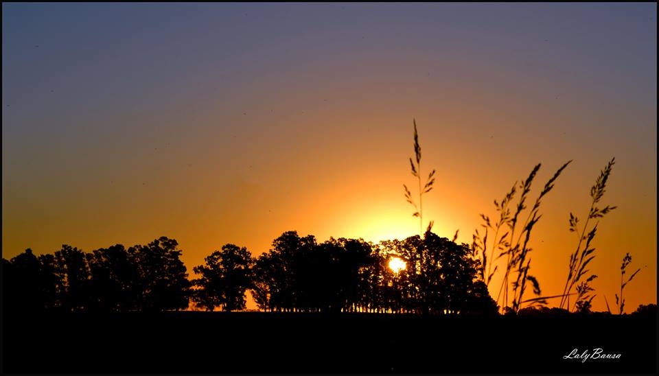 "Ocaso----" de Maria Laura Bausa