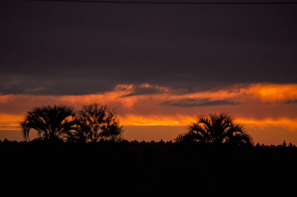 "Atardecer en la ruta 14" de Monica Rollan