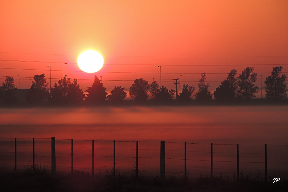 "Amanecer con neblina" de Guillermo Daniel Pasquale