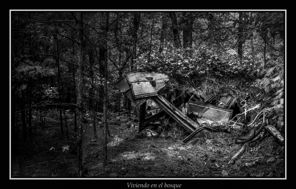 "Viendo en el bosque..." de Marcello Rodriguez Puebla