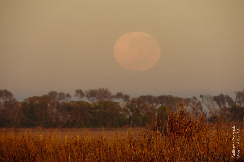 "Luna al Amanecer" de Guillermo Daniel Pasquale