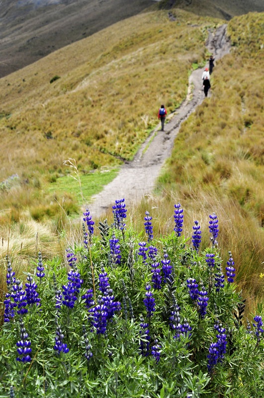 "Camino al Guagua Pichincha." de Osvaldo Sergio Gagliardi