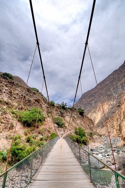 "Rincones del Per 033 Can del Colca" de David Roldn