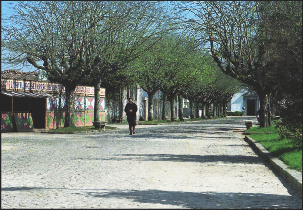 "Por el sendero arbolado" de Jorge Vicente Molinari