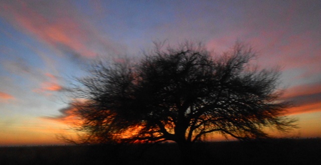 "Atardecer en la patagonia" de Gloria Fanny Jimenez