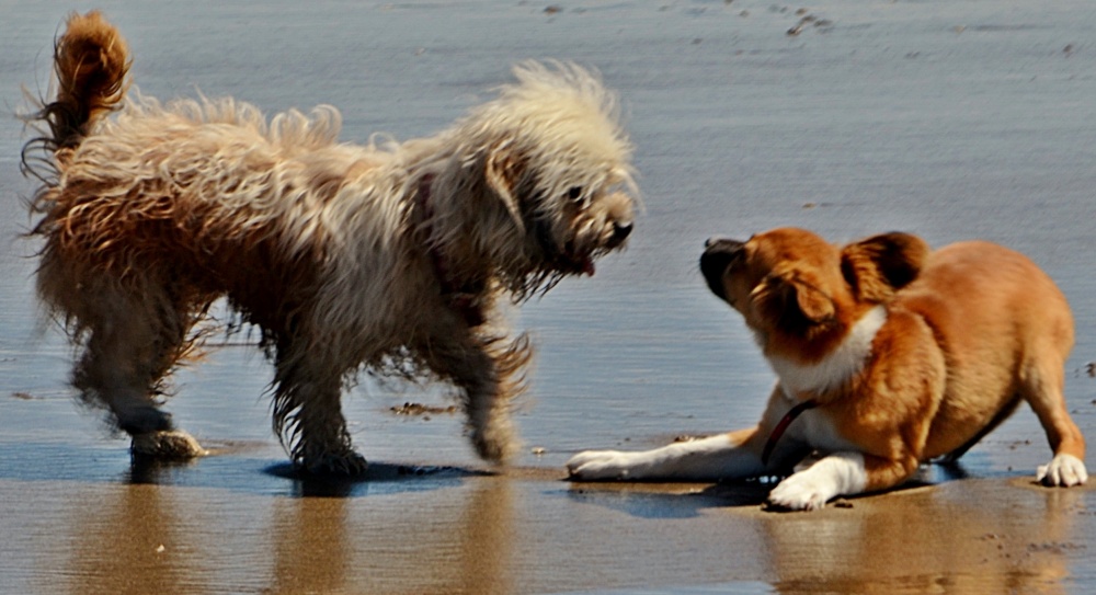 "En la playa." de Estela Gomez