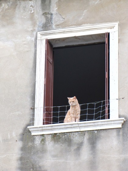 "curioseando" de Natalia Weigand