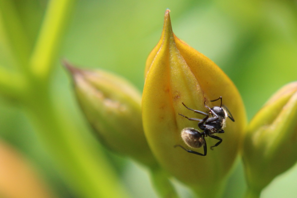 "En el jardn" de Mauricio R. Barbiani