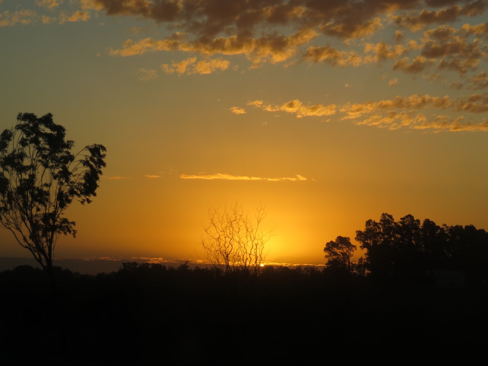 "Atardecer en el campo" de Stella Maris Rodriguez