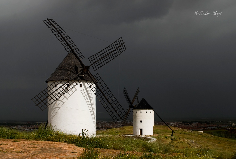 "Molinos" de Salvador Raj