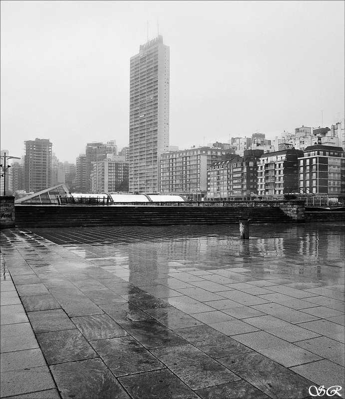 "Maana de lluvia en Mar del Plata" de Silvia Rodrigo