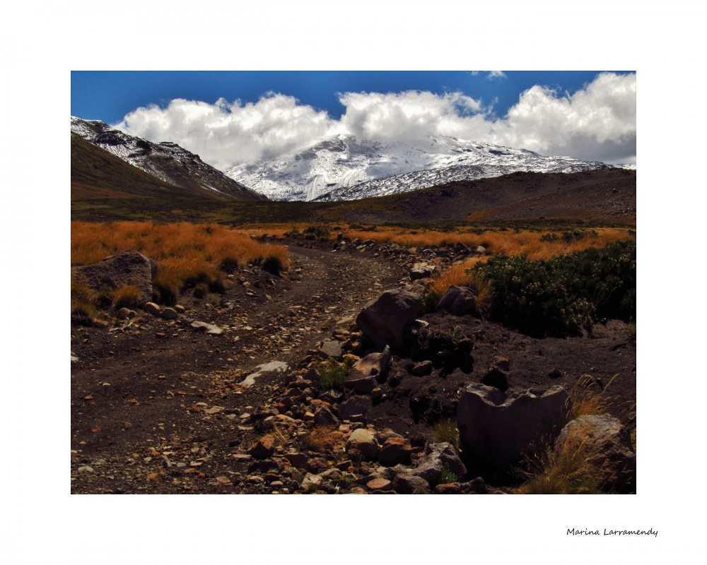 "Camino al Copahue" de Marina Larramendy