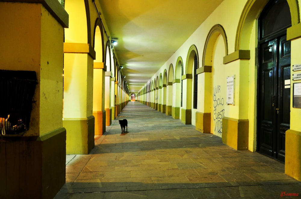 "Solos en la madrugada" de Luis Fernando Somma (fernando)