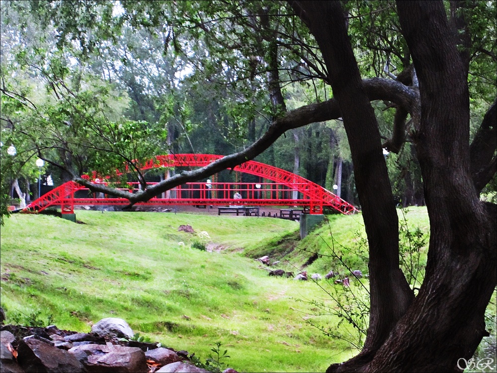 "El puente rojo" de Silvia Rodrigo