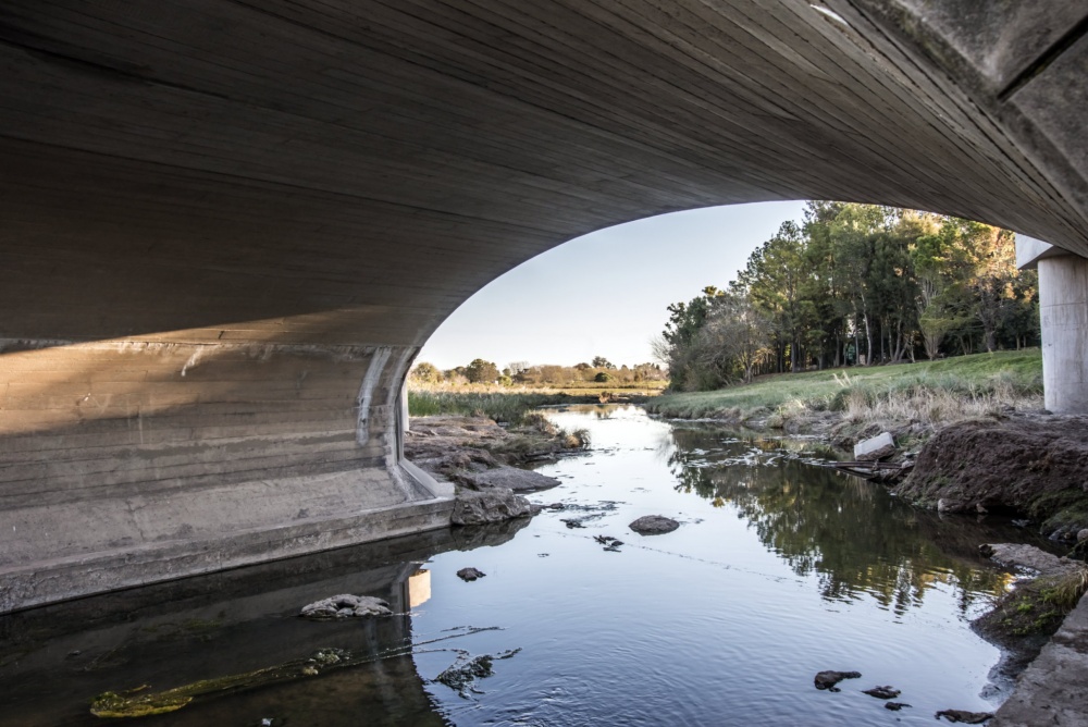 "Bajo el puente" de Rodolfo Crespo