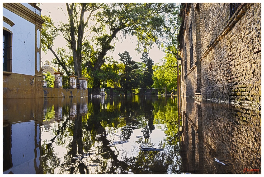 "Reflejos de la inundacin (color)" de Luis Fernando Somma (fernando)