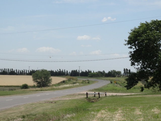 "la ruta" de Eduardo Garcia Valsi